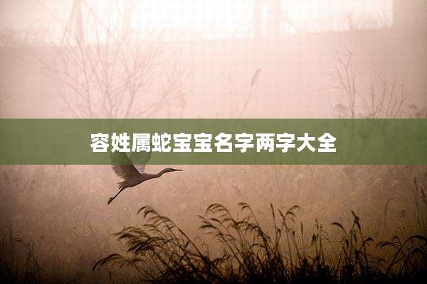 容姓属蛇宝宝名字两字大全
