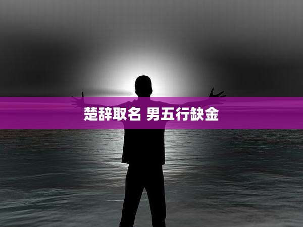 楚辞取名 男五行缺金