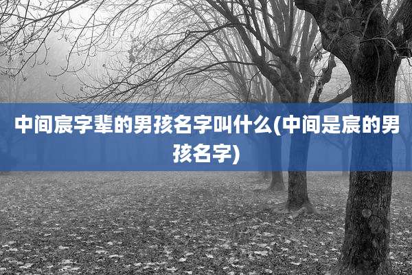 中间宸字辈的男孩名字叫什么(中间是宸的男孩名字)