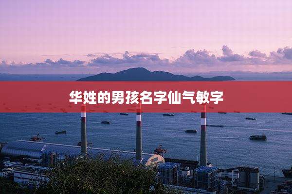 华姓的男孩名字仙气敏字