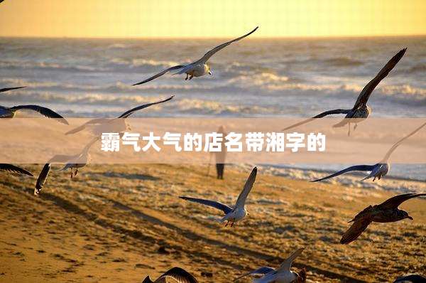 霸气大气的店名带湘字的