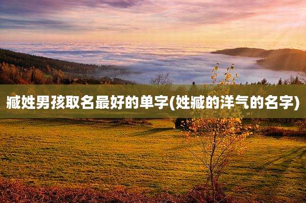 臧姓男孩取名最好的单字(姓臧的洋气的名字)