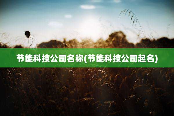 节能科技公司名称(节能科技公司起名)