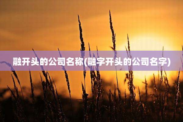 融开头的公司名称(融字开头的公司名字)