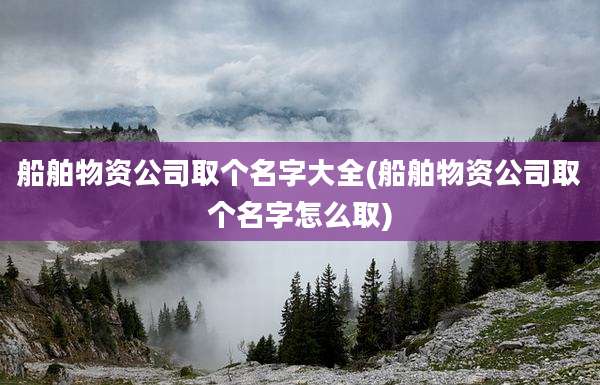 船舶物资公司取个名字大全(船舶物资公司取个名字怎么取)