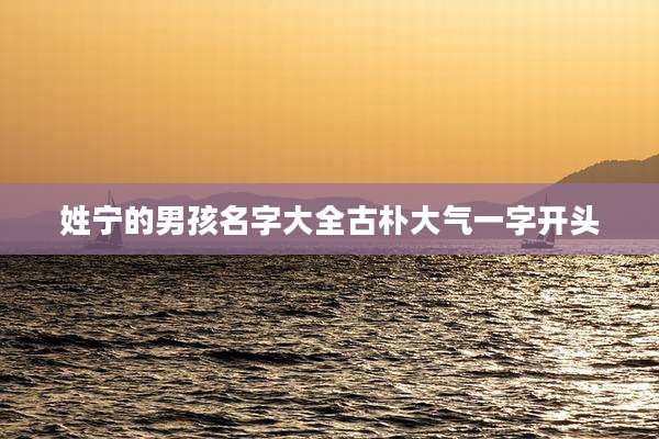 姓宁的男孩名字大全古朴大气一字开头