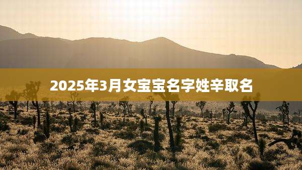 2025年3月女宝宝名字姓辛取名