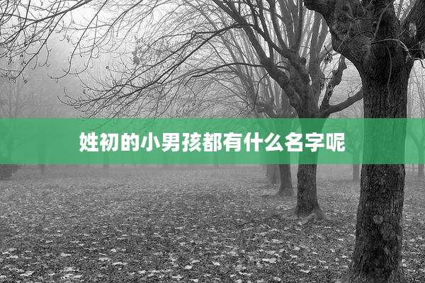 姓初的小男孩都有什么名字呢