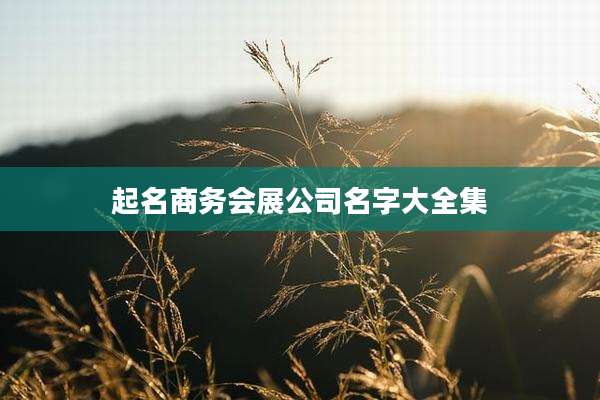 起名商务会展公司名字大全集