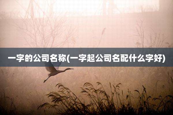 一字的公司名称(一字起公司名配什么字好)