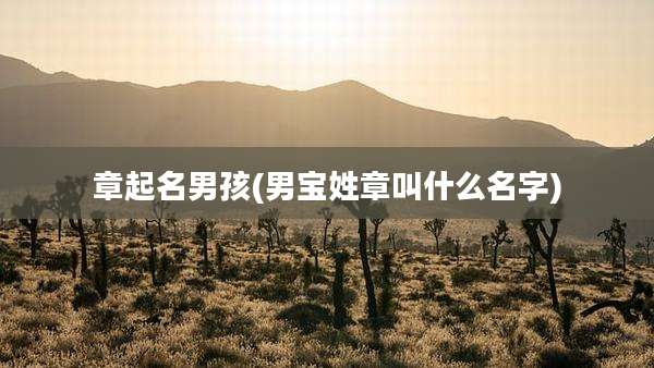 章起名男孩(男宝姓章叫什么名字)