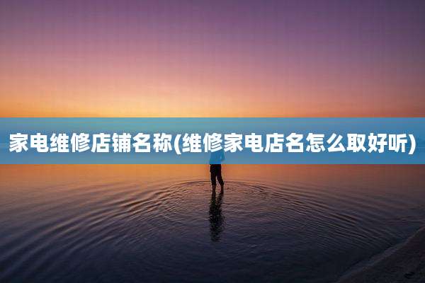 家电维修店铺名称(维修家电店名怎么取好听)