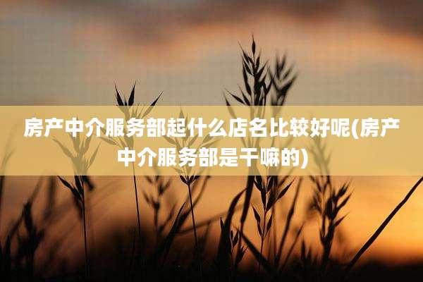 房产中介服务部起什么店名比较好呢(房产中介服务部是干嘛的)