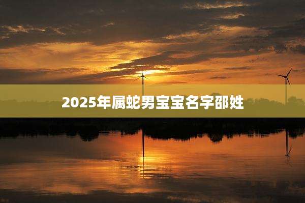 2025年属蛇男宝宝名字邵姓