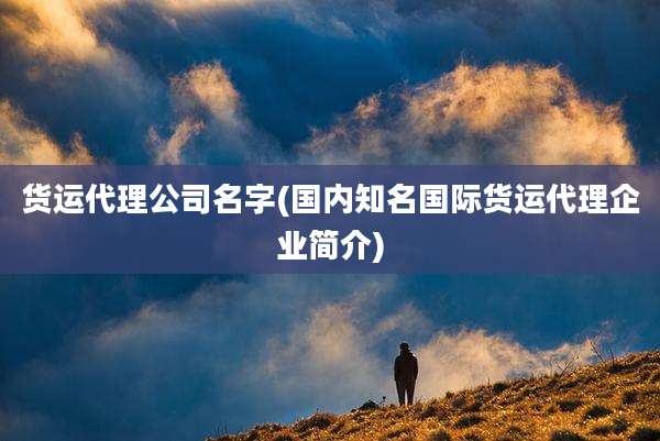 货运代理公司名字(国内知名国际货运代理企业简介)