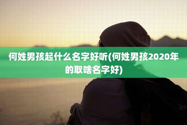 何姓男孩起什么名字好听(何姓男孩2020年的取啥名字好)