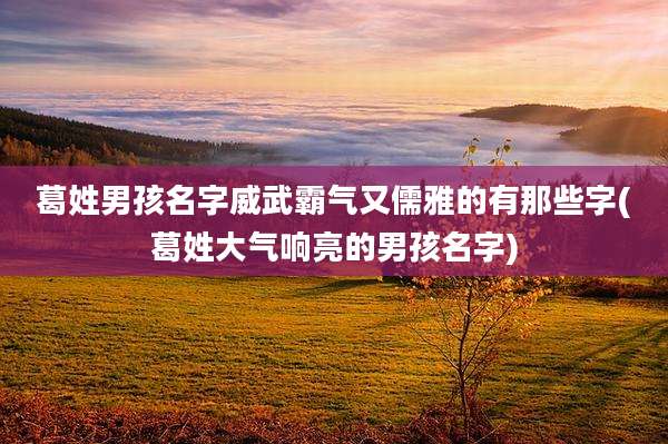 葛姓男孩名字威武霸气又儒雅的有那些字(葛姓大气响亮的男孩名字)