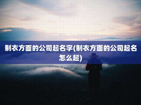 制衣方面的公司起名字(制衣方面的公司起名怎么起)