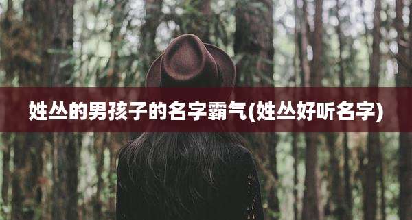 姓丛的男孩子的名字霸气(姓丛好听名字)