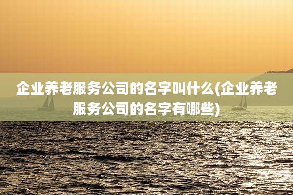 企业养老服务公司的名字叫什么(企业养老服务公司的名字有哪些)