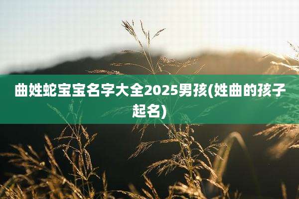 曲姓蛇宝宝名字大全2025男孩(姓曲的孩子起名)