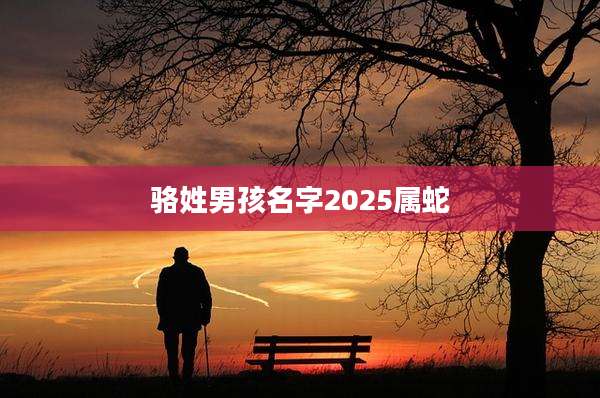 骆姓男孩名字2025属蛇