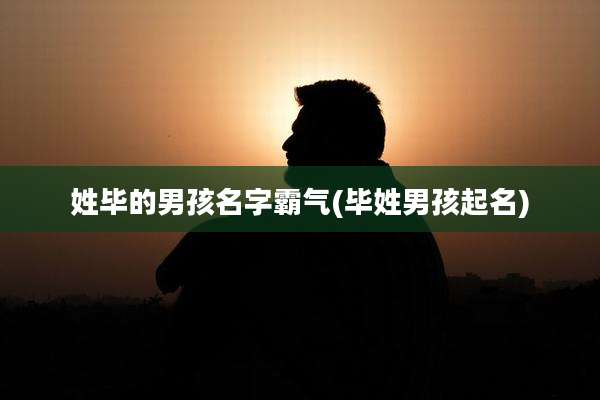 姓毕的男孩名字霸气(毕姓男孩起名)