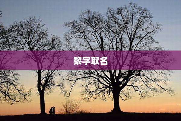黎字取名