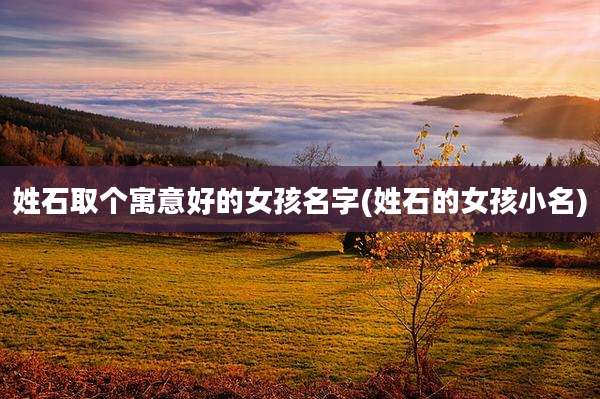 姓石取个寓意好的女孩名字(姓石的女孩小名)