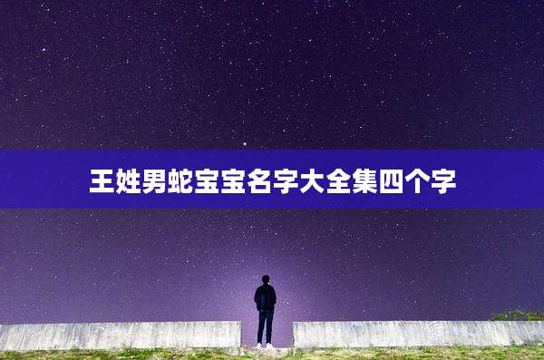 王姓男蛇宝宝名字大全集四个字