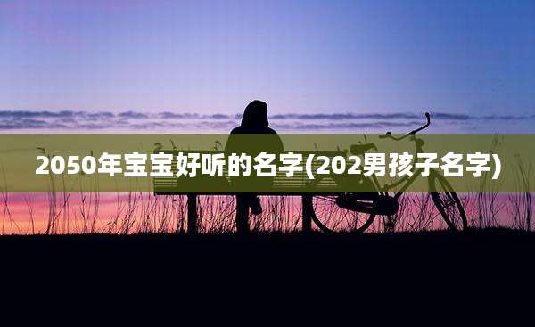 2050年宝宝好听的名字(202男孩子名字)