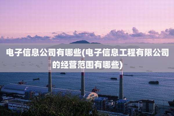 电子信息公司有哪些(电子信息工程有限公司的经营范围有哪些)
