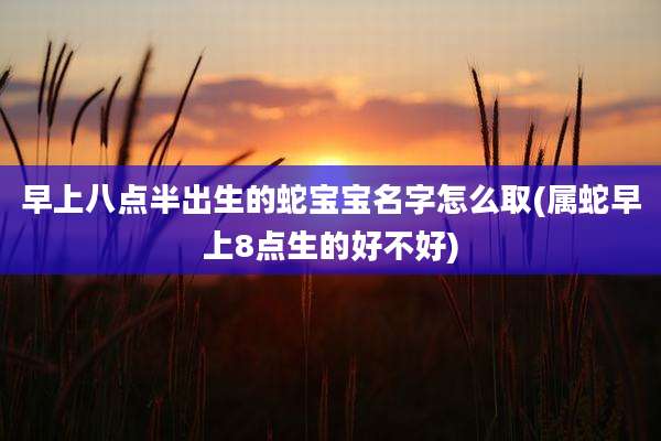 早上八点半出生的蛇宝宝名字怎么取(属蛇早上8点生的好不好)