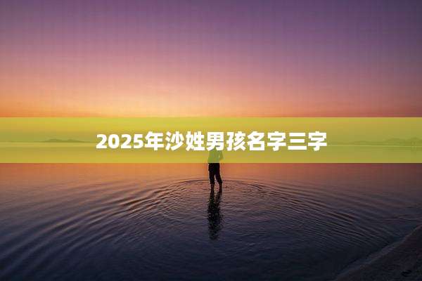 2025年沙姓男孩名字三字