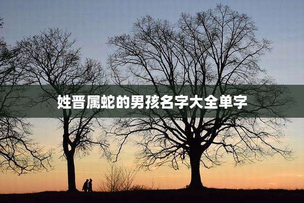 姓晋属蛇的男孩名字大全单字