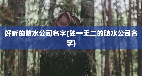 好听的防水公司名字(独一无二的防水公司名字)