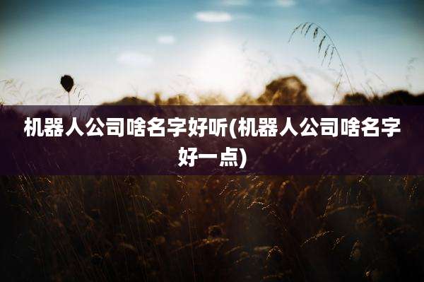 机器人公司啥名字好听(机器人公司啥名字好一点)