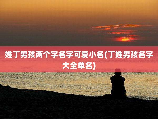 姓丁男孩两个字名字可爱小名(丁姓男孩名字大全单名)