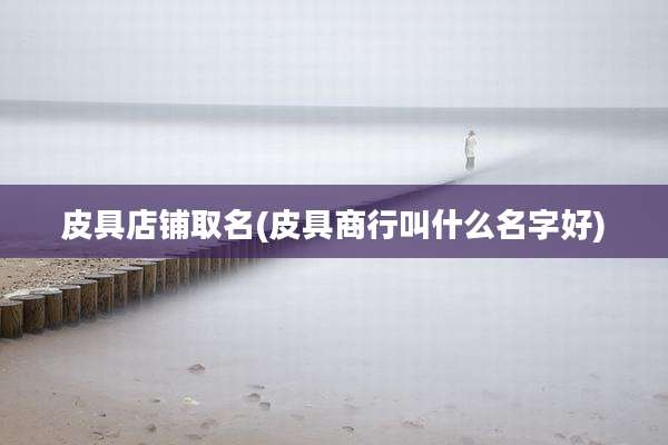 皮具店铺取名(皮具商行叫什么名字好)