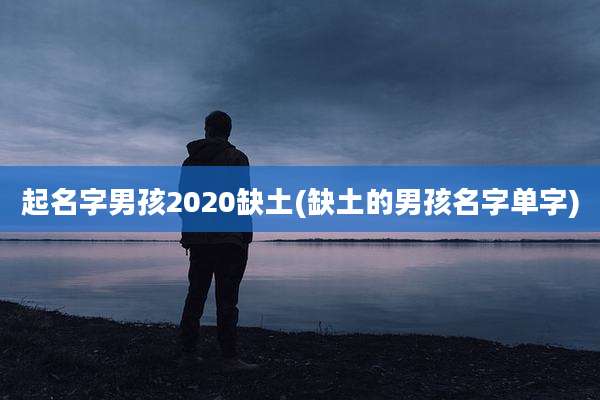 起名字男孩2020缺土(缺土的男孩名字单字)