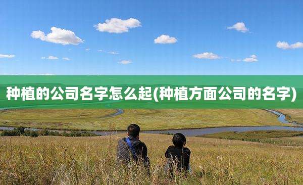 种植的公司名字怎么起(种植方面公司的名字)