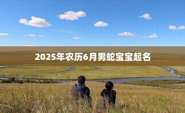 2025年农历6月男蛇宝宝起名