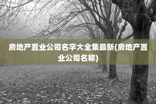 房地产置业公司名字大全集最新(房地产置业公司名称)