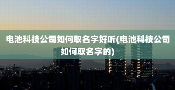 电池科技公司如何取名字好听(电池科技公司如何取名字的)