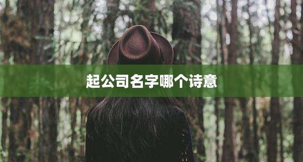 起公司名字哪个诗意