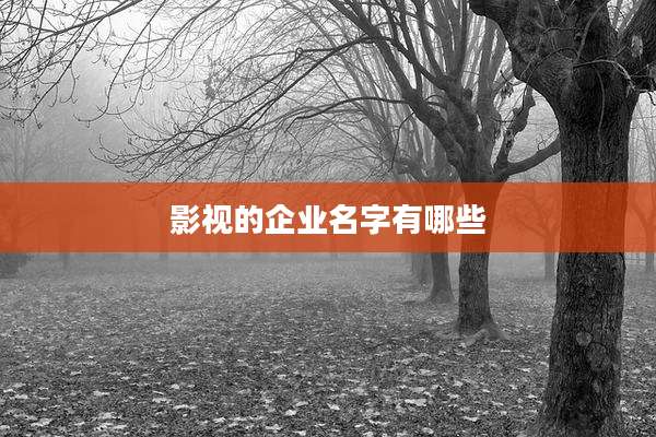 影视的企业名字有哪些