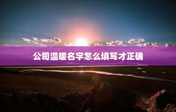 公司温暖名字怎么填写才正确