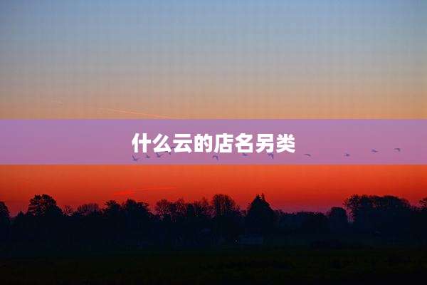 什么云的店名另类
