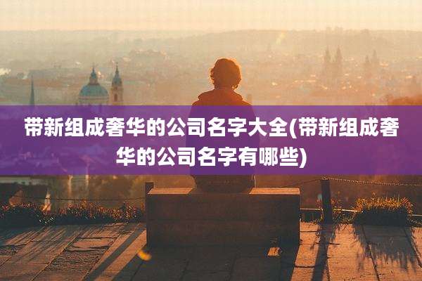 带新组成奢华的公司名字大全(带新组成奢华的公司名字有哪些)