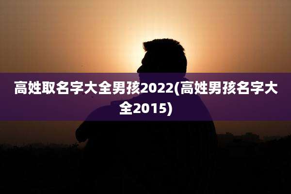 高姓取名字大全男孩2022(高姓男孩名字大全2015)